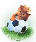 pic for CAT & BALL